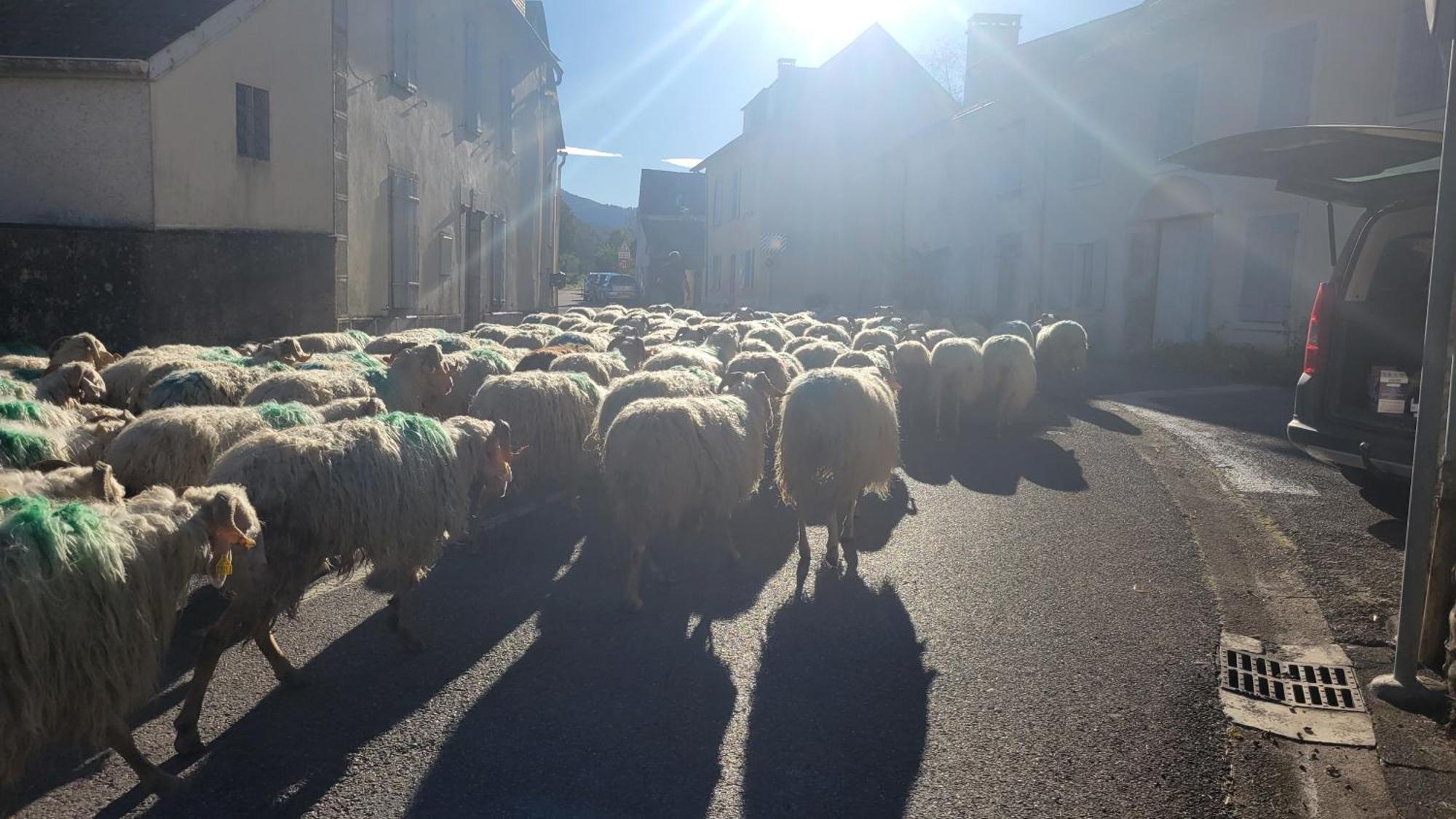 Maison De Campagne Issor المظهر الخارجي الصورة